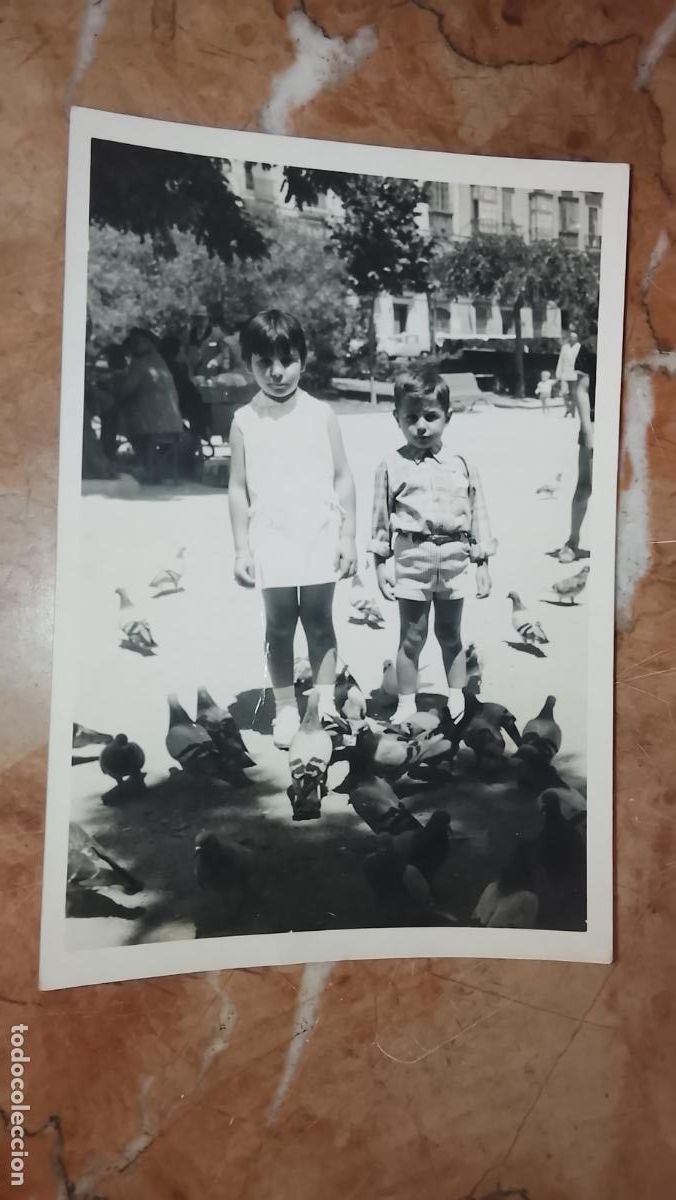 Fotograf&iacute;a antigua: ANTIGUA FOTOGRAFIA ALBUMINA NI&Ntilde;OS CADIZ JUGANDO CON LAS PALOMAS