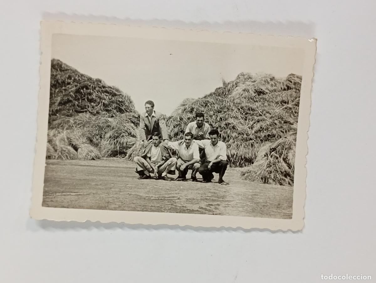 Fotograf&iacute;a antigua: ANTIGUA FOTOGRAF&Iacute;A HOMBRESEN EL CAMPO. TDKP26Z2