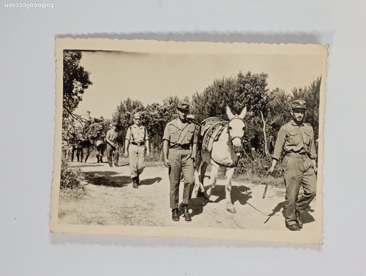 Fotograf&iacute;a antigua: ANTIGUA FOTOGRAF&Iacute;A MILITARES DESFILANDO. TDKP26Z2