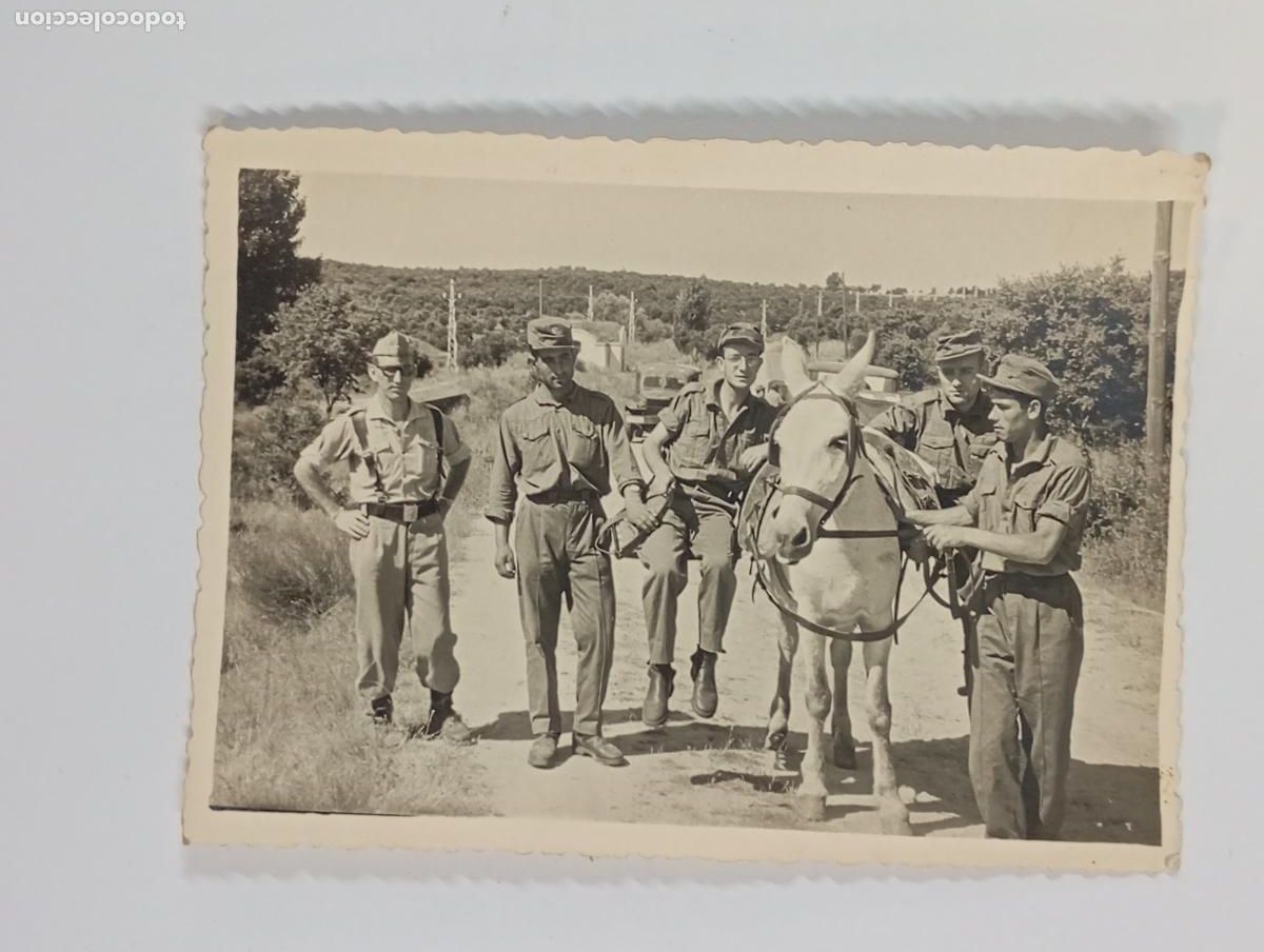 Fotograf&iacute;a antigua: ANTIGUA FOTOGRAF&Iacute;A MILITARES POSANDO CON CABALLO. TDKP26Z2