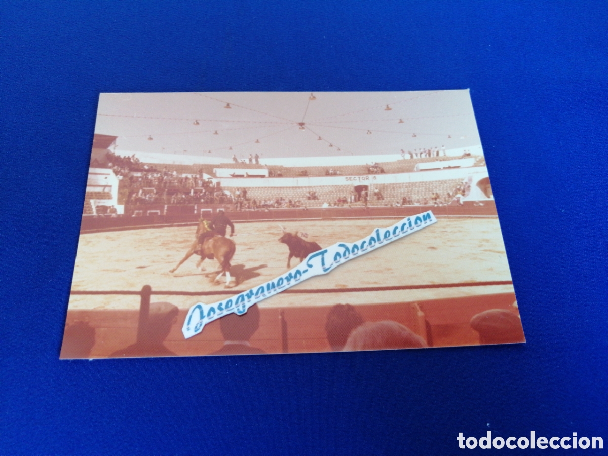 Fotografia antica: PLAZA DE TOROS - SETUBAL (PORTUGAL) A&Ntilde;O 1978 FOTOGRAF&Iacute;A ANTIGUA SIGLO PASADO