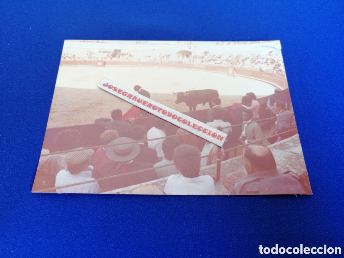 Fotografia antica: PLAZA DE TOROS - SETUBAL (PORTUGAL) A&Ntilde;O 1978 FOTOGRAF&Iacute;A ANTIGUA SIGLO PASADO