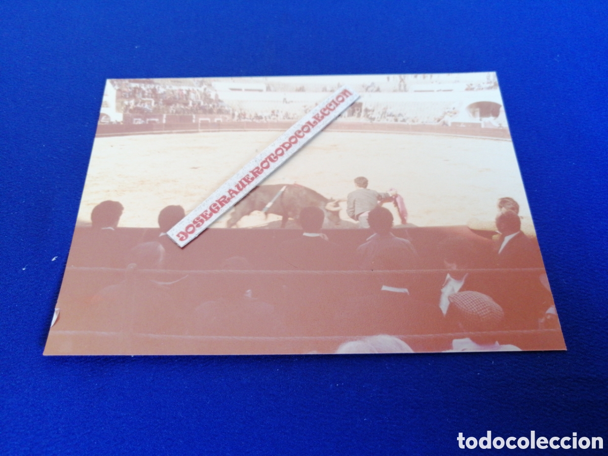 Fotografia antica: PLAZA DE TOROS - SETUBAL (PORTUGAL) A&Ntilde;O 1978 FOTOGRAF&Iacute;A ANTIGUA SIGLO PASADO