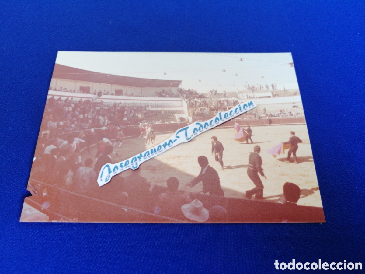 Fotografia antica: PLAZA DE TOROS - SETUBAL (PORTUGAL) A&Ntilde;O 1978 FOTOGRAF&Iacute;A ANTIGUA SIGLO PASADO