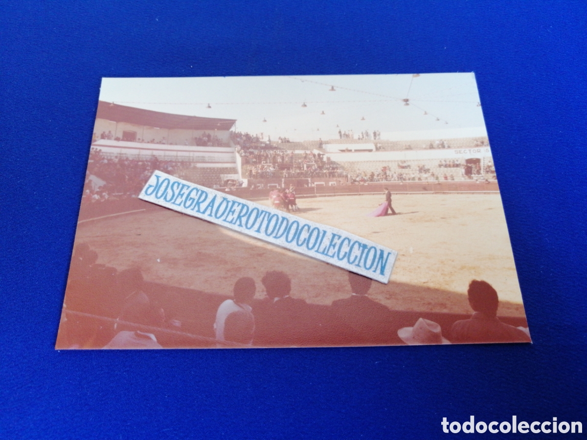 Fotografia antica: PLAZA DE TOROS - SETUBAL (PORTUGAL) A&Ntilde;O 1978 FOTOGRAF&Iacute;A ANTIGUA SIGLO PASADO