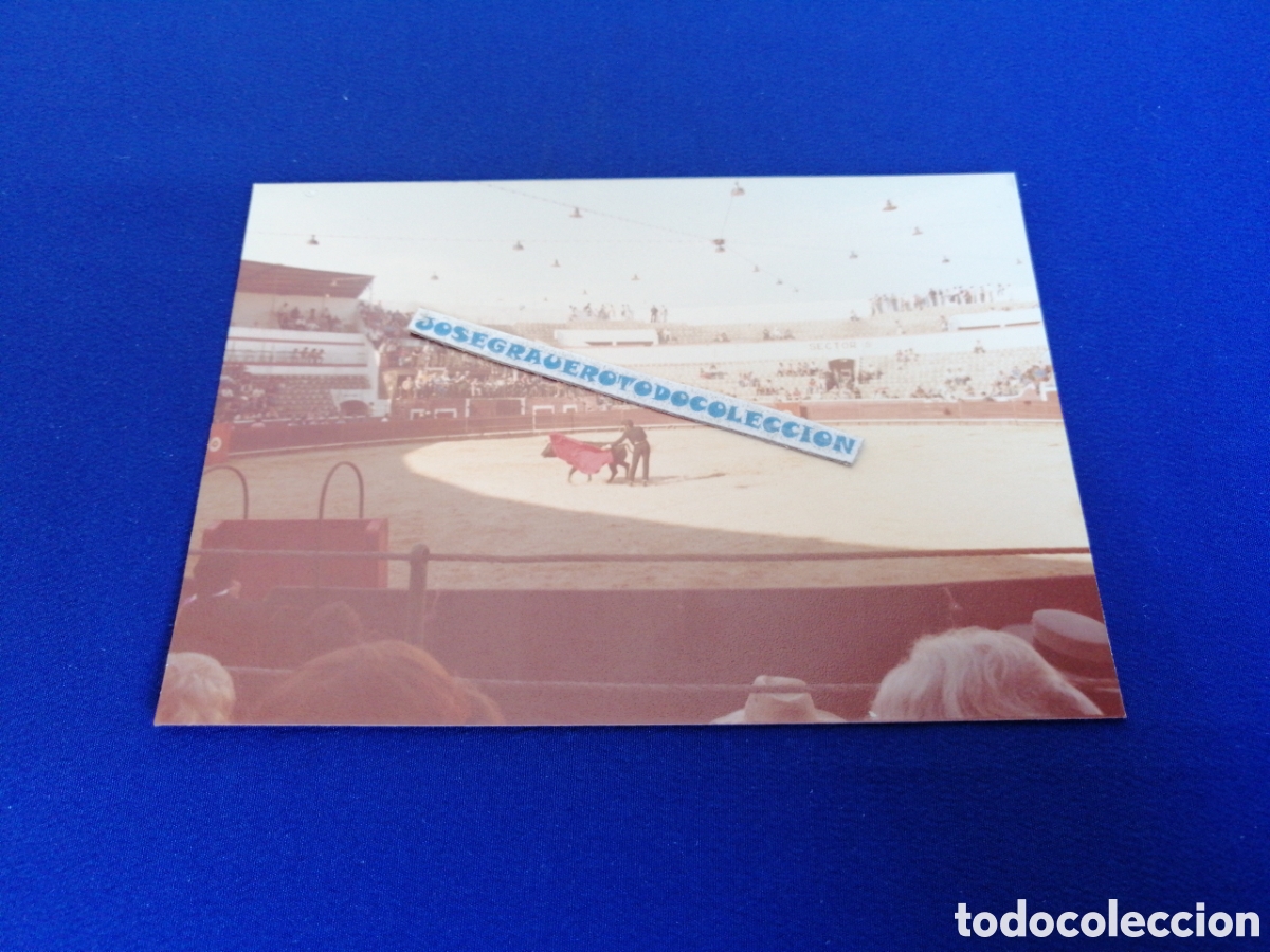 Antique Photography: PLAZA DE TOROS - SETUBAL (PORTUGAL) A&Ntilde;O 1978 FOTOGRAF&Iacute;A ANTIGUA SIGLO PASADO