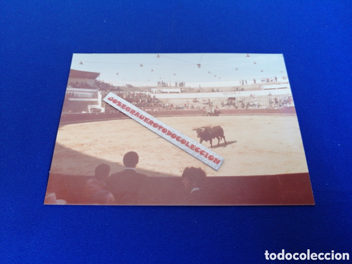 Antique Photography: PLAZA DE TOROS - SETUBAL (PORTUGAL) A&Ntilde;O 1978 FOTOGRAF&Iacute;A ANTIGUA SIGLO PASADO