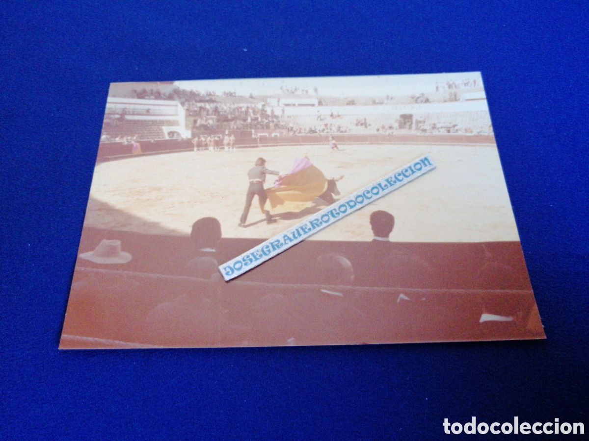 Fotografia antiga: PLAZA DE TOROS - SETUBAL (PORTUGAL) A&Ntilde;O 1978 FOTOGRAF&Iacute;A ANTIGUA SIGLO PASADO