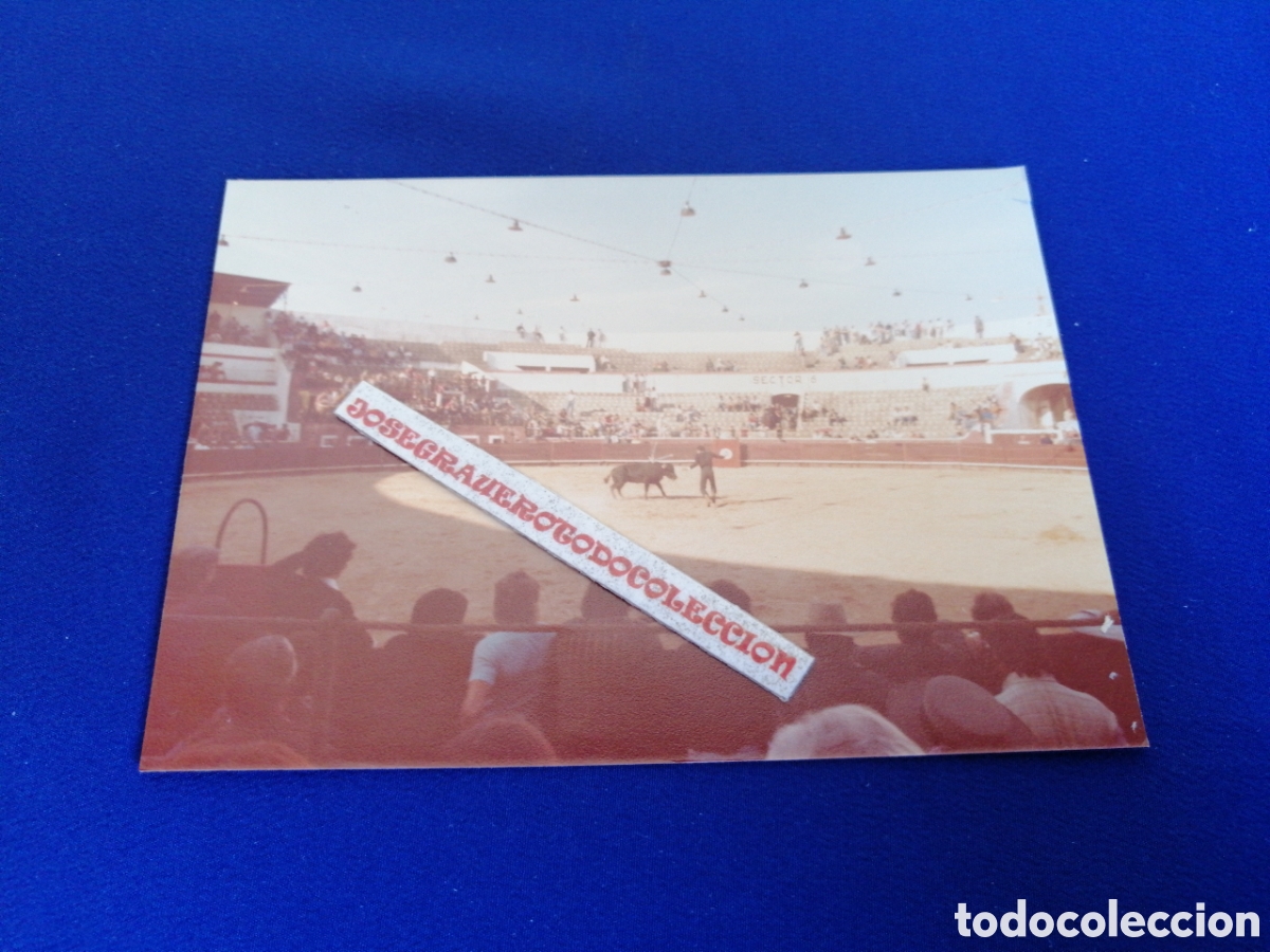 Fotografia antiga: PLAZA DE TOROS - SETUBAL (PORTUGAL) A&Ntilde;O 1978 FOTOGRAF&Iacute;A ANTIGUA SIGLO PASADO
