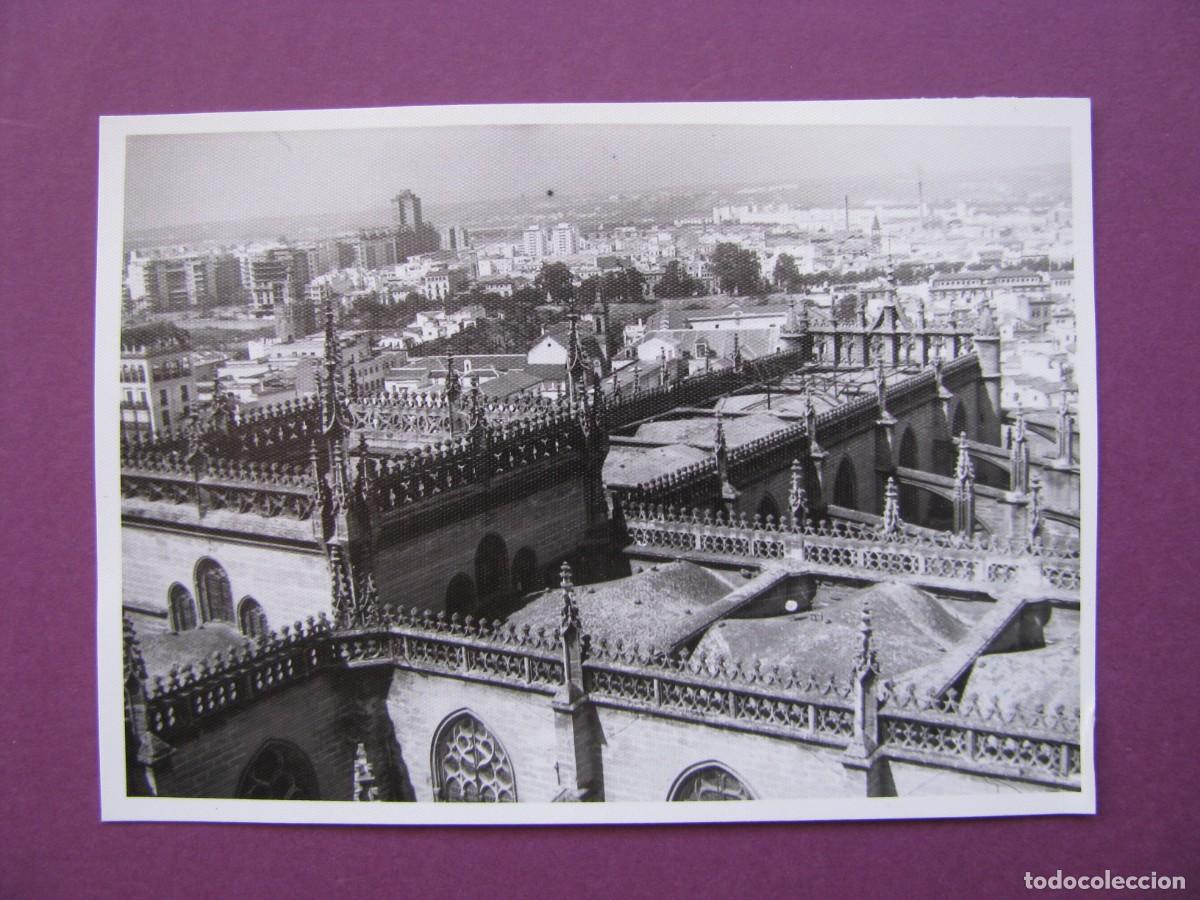 Fotograf&iacute;a antigua: FOTO DE SEVILLA. A&Ntilde;OS 1960. 10X7 CM