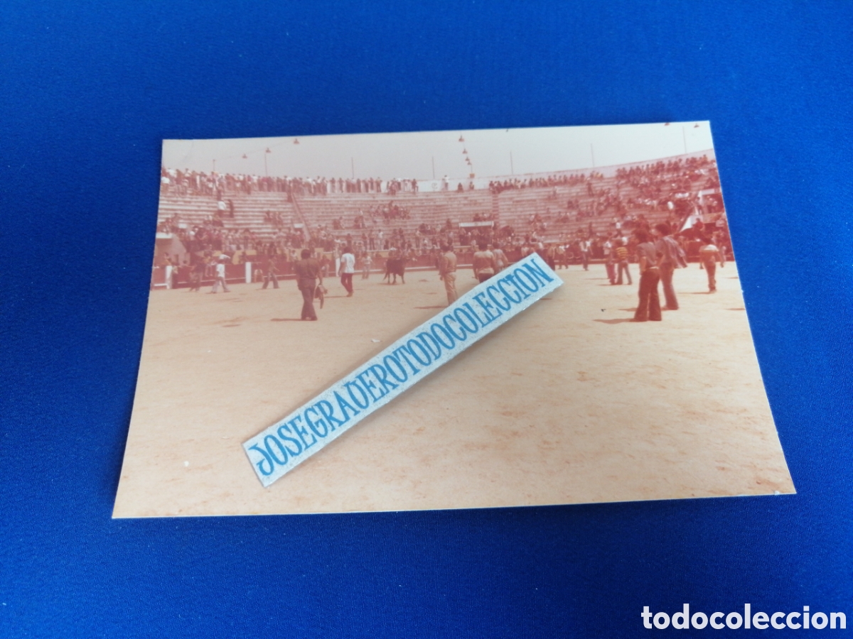 Fotograf&iacute;a antigua: PLAZA DE TOROS SETUBAL (PORTUGAL) A&Ntilde;O 1978 FOTOGRAF&Iacute;A ANTIGUA SIGLO PASADO