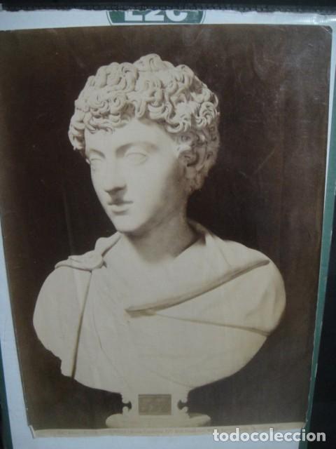 Fotograf&iacute;a antigua: busto de marco aurelio de joven , fotografia albumina 25 x 18 cnt&ordm;