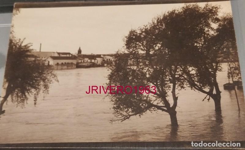 Fotograf&iacute;a antigua: SEVILLA, SIGLO XIX, VISTA DEL RIO GUADALQUIVIR DESDE TRIANA, 14X9 CMS