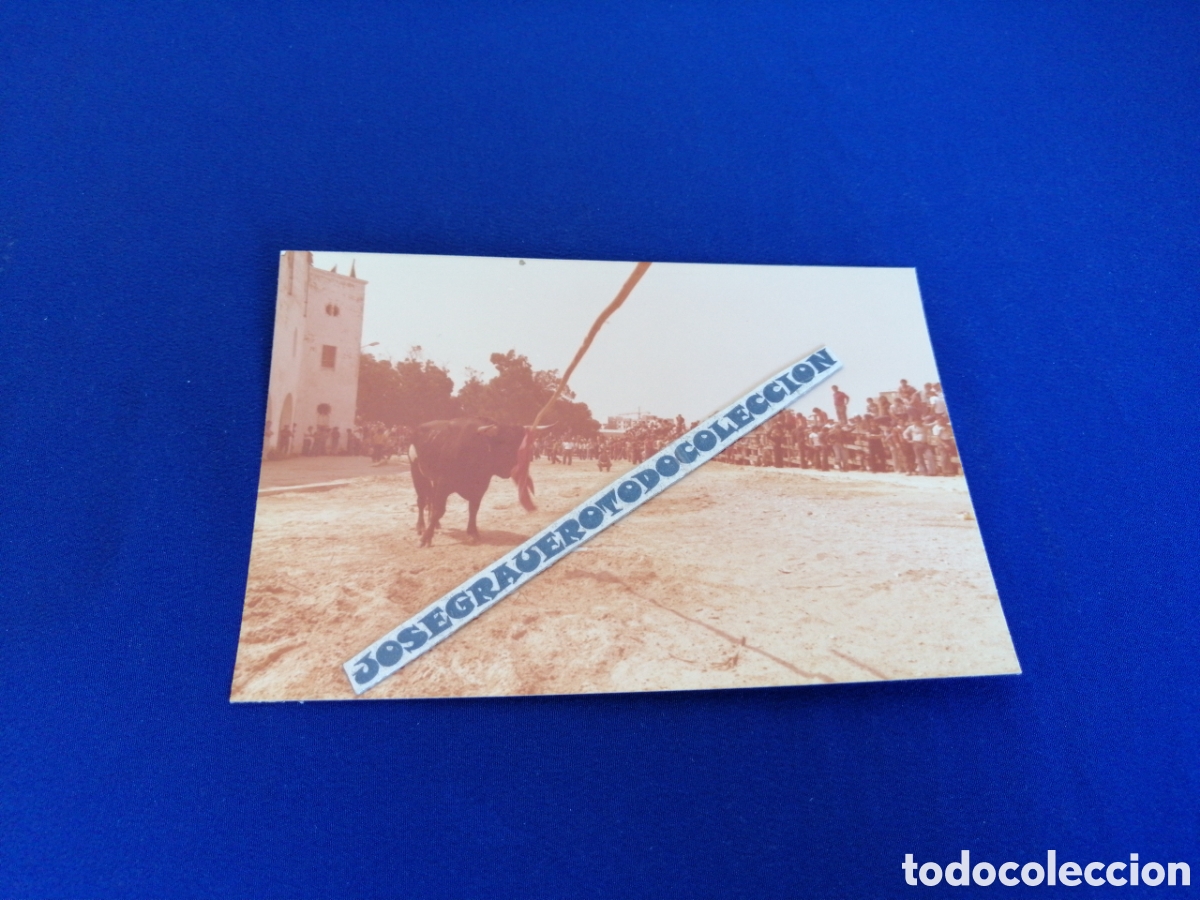 Fotograf&iacute;a antigua: TOROS - CORRIDA DE TOROS - TAUROMAQUIA FOTOGRAF&Iacute;A ANTIGUA SIGLO PASADO