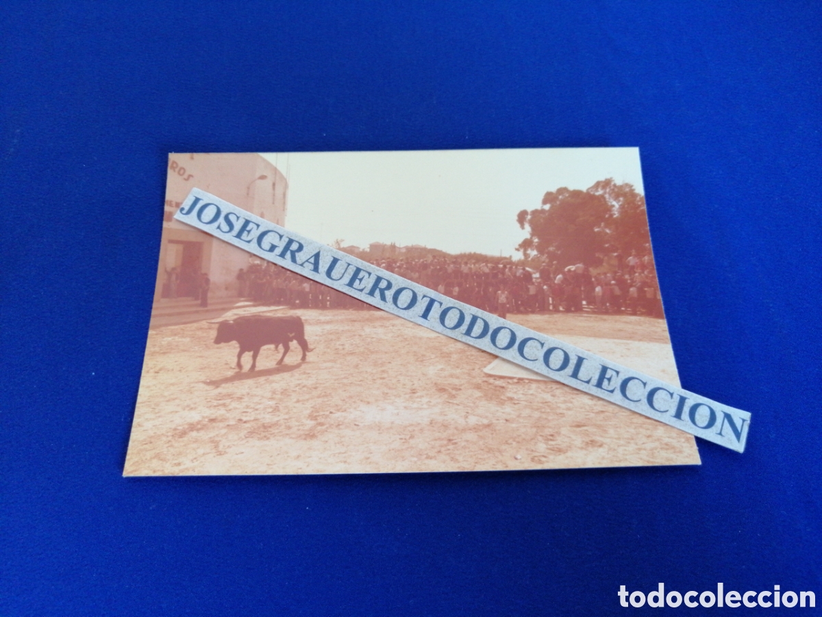 Fotograf&iacute;a antigua: TOROS - CORRIDA DE TOROS - TAUROMAQUIA FOTOGRAF&Iacute;A ANTIGUA SIGLO PASADO