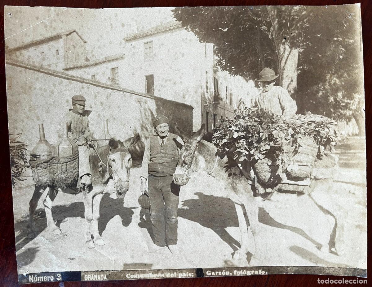 Fotograf&iacute;a antigua: GARZON, GRANADA N&ordm; 3, COSTUMBRES DEL PAIS, FOTOGRAFIA ALBUMINA, MIDE 20 X 15,5 CMS. APROXIMADAMENTE,