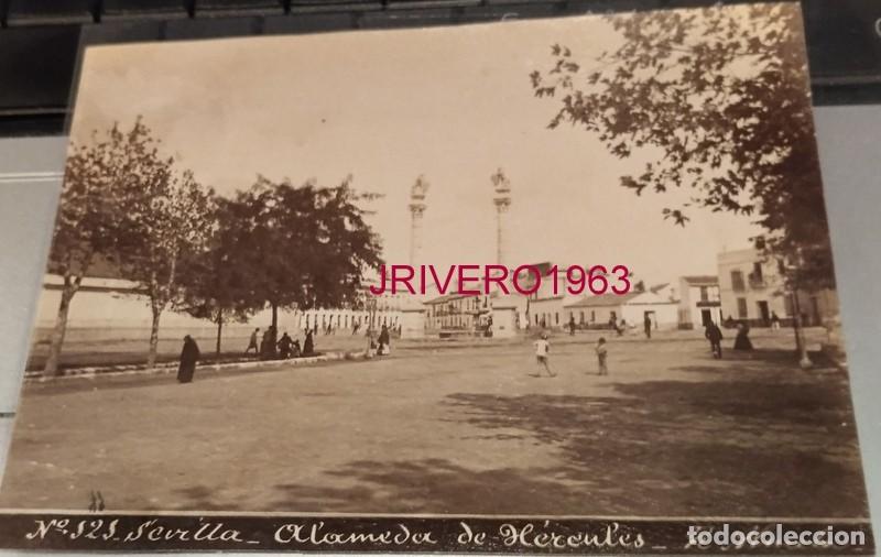 Fotograf&iacute;a antigua: SEVILLA, SIGLO XIX, ALBUMINA DE LA ALAMEDA DE HERCULES, FOT. RAMON ALMELA, 130X98MM