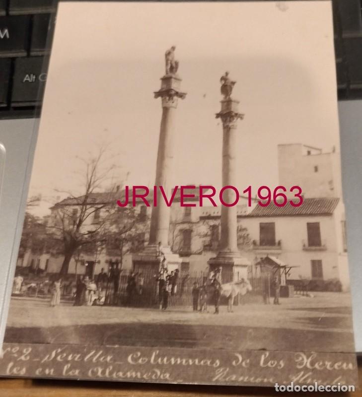Fotograf&iacute;a antigua: SEVILLA, SIGLO XIX, ALBUMINA DE LAS COLUMNAS DE LOS HERCULES DE LA ALAMEDA, 98X134MM