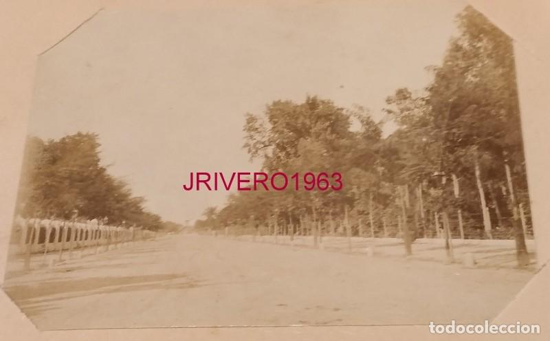 Fotograf&iacute;a antigua: SEVILLA, SIGLO XIX, ALBUMINA PASEO DE LAS DELICIAS, 100X70MM