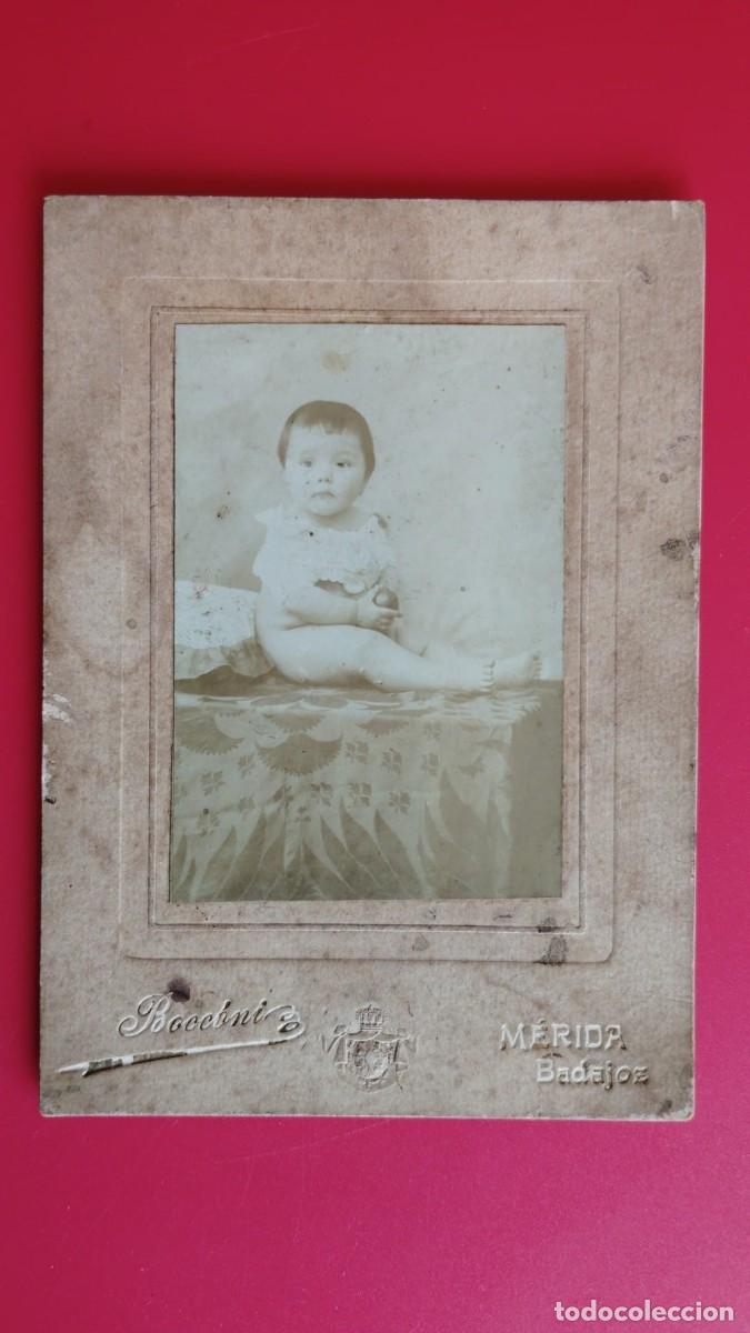Fotograf&iacute;a antigua: BOCCONI.-FOTOGRAFO.-ALBUMINA.-NI&Ntilde;O.-FOTOGRAFIA ANTIGUA.-MERIDA.-BADAJOZ.