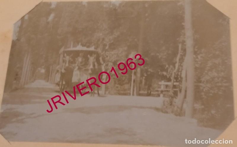 Fotograf&iacute;a antigua: SEVILLA, SIGLO XIX, ALBUMINA PARQUE DE MARIA LUISA, 98X68MM