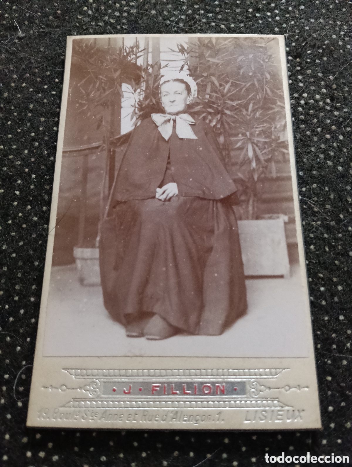 Fotograf&iacute;a antigua: 1880-1900 Fotograf&iacute;a de una Se&ntilde;ora posando para la ocasi&oacute;n, en cart&oacute;n mide 10,5 x 6,5 cm. aprox.