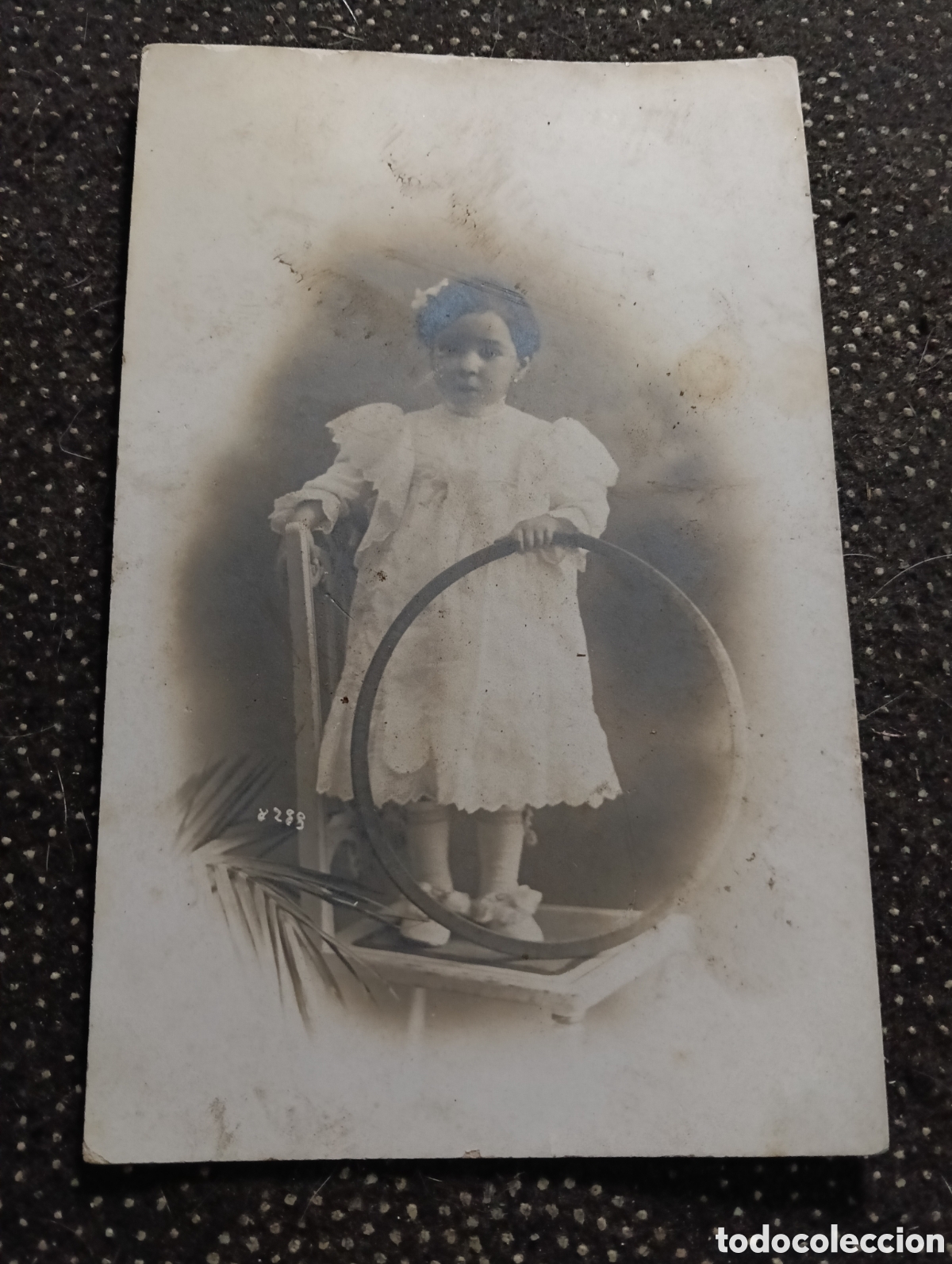 Fotograf&iacute;a antigua: 1900 Fotograf&iacute;a de Lolita Sanahuja montada en una silla y con un aro en la mano.