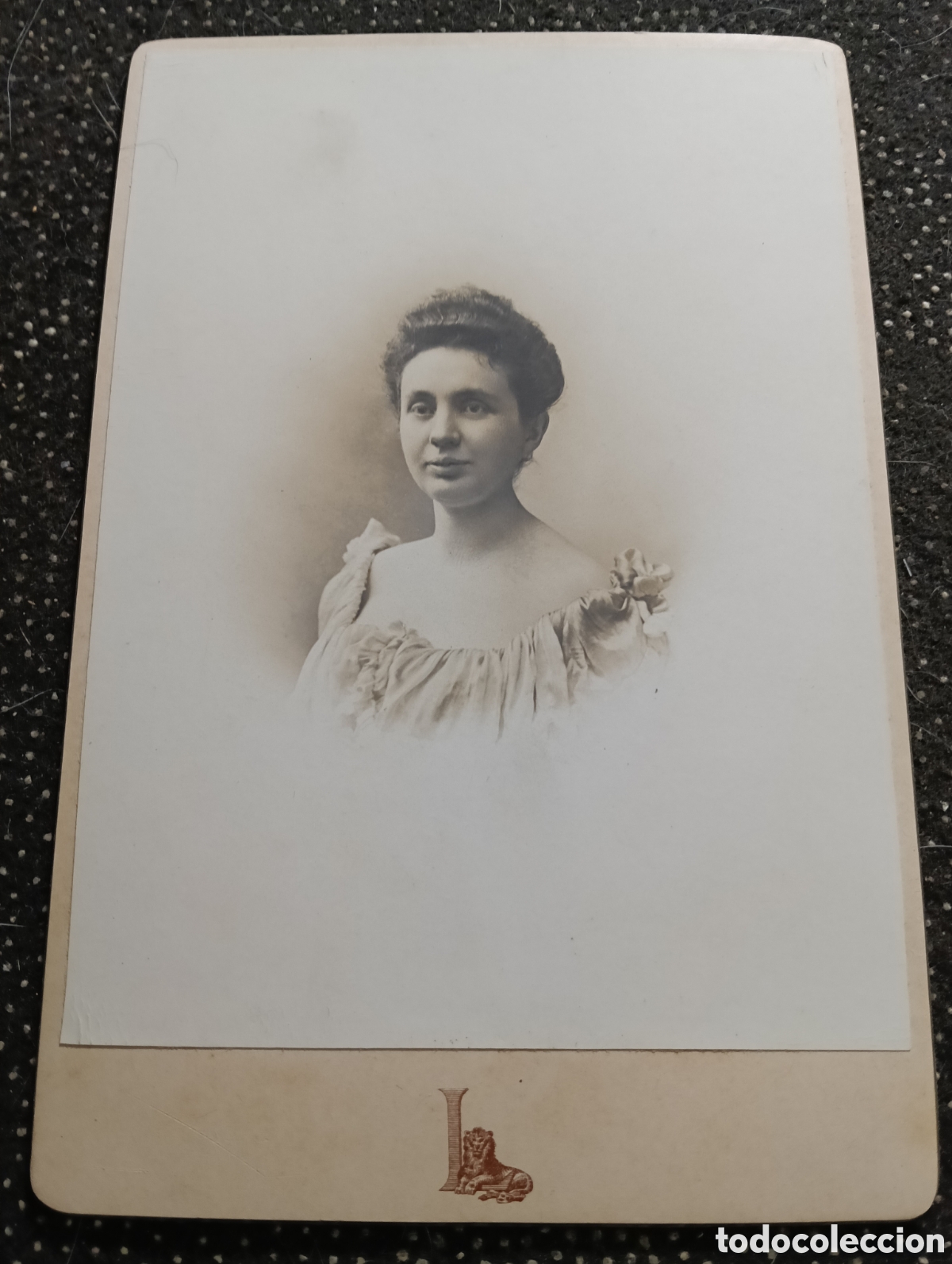 Fotograf&iacute;a antigua: 1880-1900 &Eacute;poca Victoriana Fotograf&iacute;a de una se&ntilde;ora vestida para la ocasi&oacute;n 17 x 11 cm aprox.
