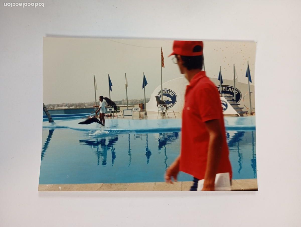 Fotograf&iacute;a antigua: FOTOGRAF&Iacute;A DE MARINELAND. TDKP29B