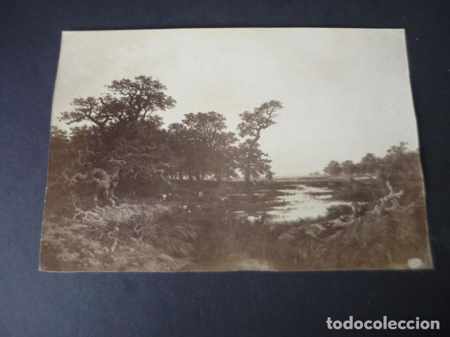 Antique Photography: PAISAJE DE CARLOS DE HAES ALBUMINA SIGLO XIX 16 X 24 CM
