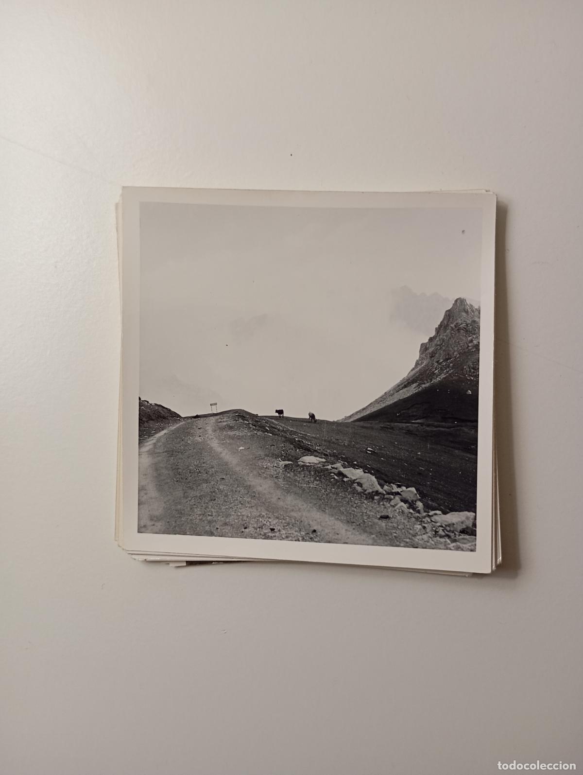 Fotograf&iacute;a antigua: ANTIGUA FOTOGRAF&Iacute;A PICOS DE EUROPA. 1971. TDKP29D