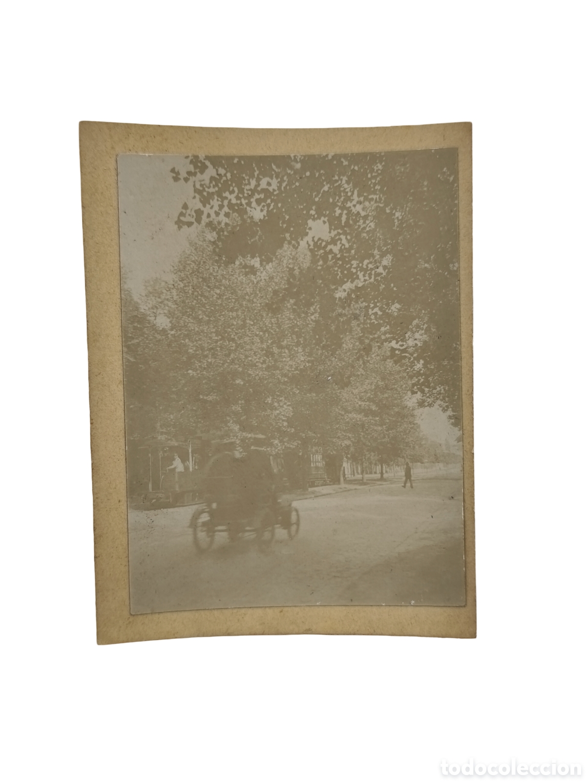 Fotograf&iacute;a antigua: CARRUAJE EN EL PARQUE - FOTOGRAF&Iacute;A ANTIGUA CON ESCENA DE &Eacute;POCA - C. 1920