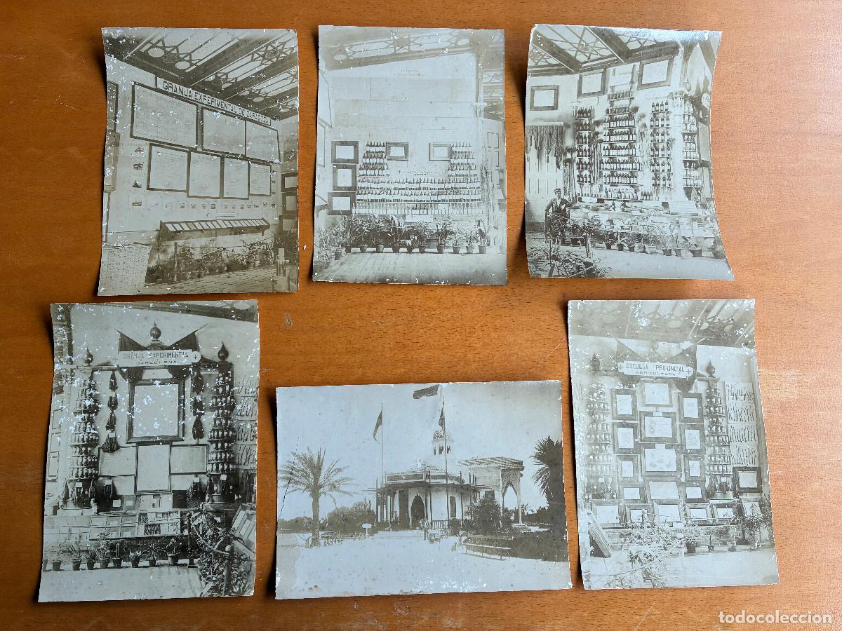 Fotograf&iacute;a antigua: Feria concurso Agr&iacute;cola 1895 de Barcelona. 6 Albuminas 22x16 cm. Pabell&oacute;n de Granja experimental.