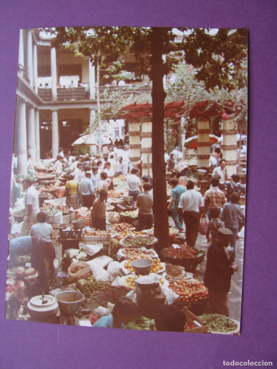 Fotograf&iacute;a antigua: FOTO DEL MERCADO DE FUNCHAL. MADEIRA. PORTUGAL. A&Ntilde;OS 1980. 13X10 CM