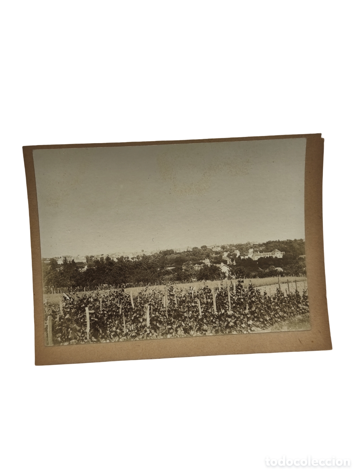 Fotograf&iacute;a antigua: FRANCIA - ESPL&Eacute;NDIDA VISTA PANOR&Aacute;MICA DE VALLE AGR&Iacute;COLA CON VI&Ntilde;EDOS (EMPARRADOS) Y LOCALIDAD AL FOND