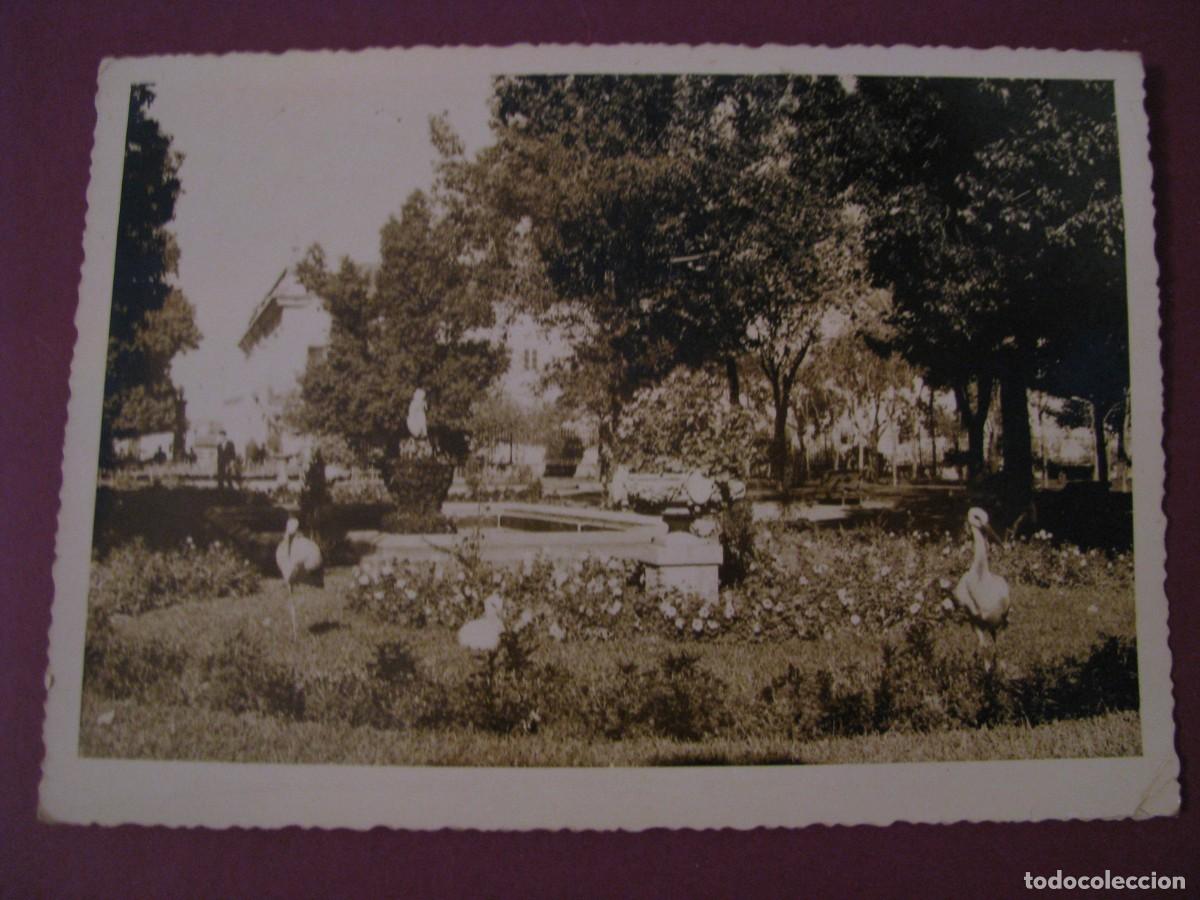 Fotograf&iacute;a antigua: FOTO DE PORTUGAL. JARDINES DE BEJA? DETRAS ESCRITA. 14,5X10,5 CM