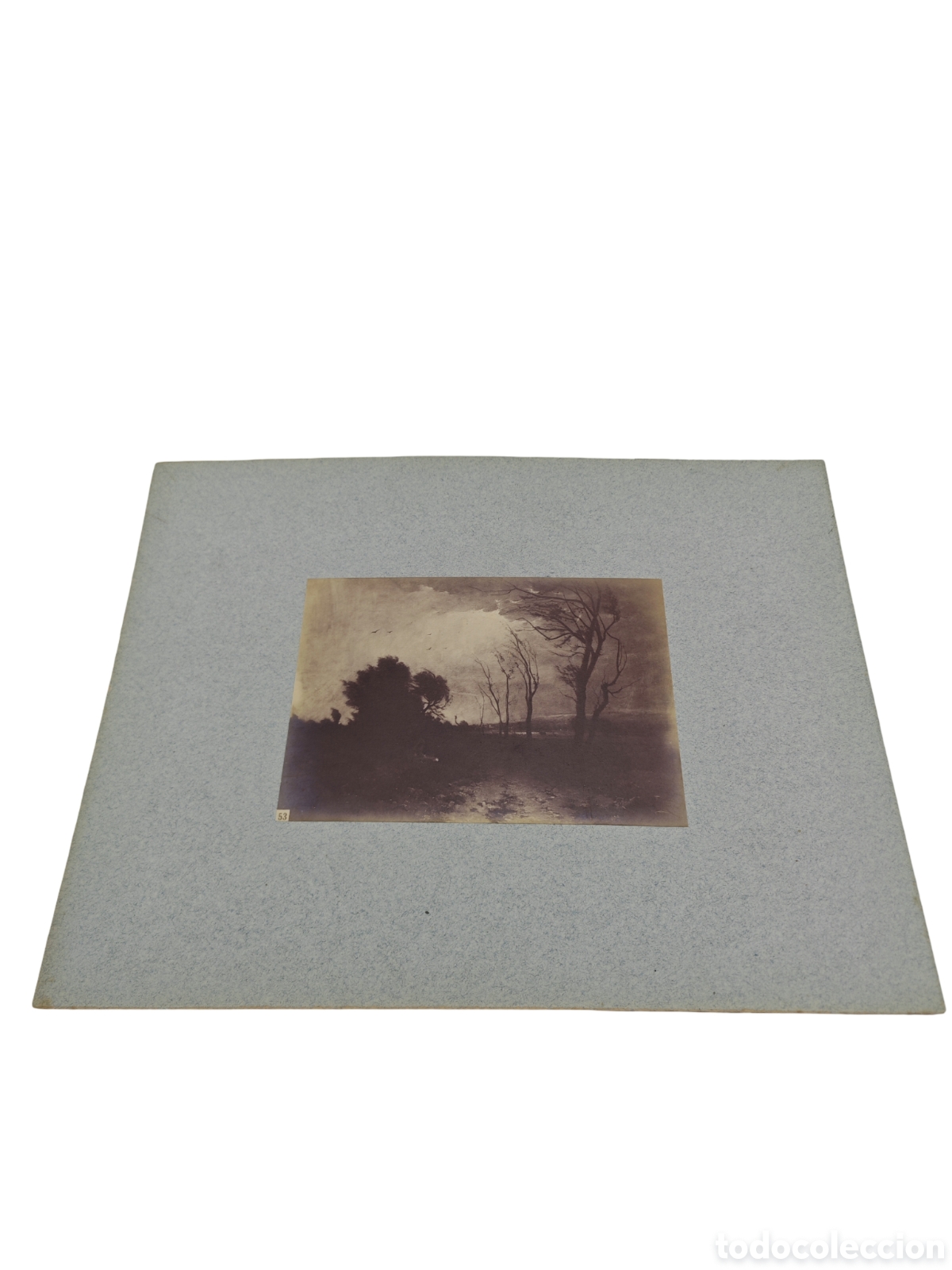 Fotograf&iacute;a antigua: PAISAJE ROM&Aacute;NTICO DE TORMENTA (1878) - FOTOGRAF&Iacute;A ORIGINAL A LA ALB&Uacute;MINA DE J. LAURENT - CAT&Aacute;LOGO N&ordm;