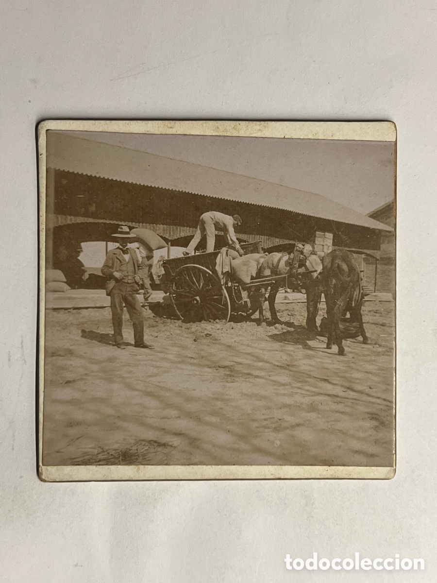 Fotograf&iacute;a antigua: ALGEMES&Iacute;, SUECA, ALCIRA.. ? Descarregant arros&hellip; Fotograf&iacute;a antigua (h.1900?) Med&iacute;das: 8,5 x 8,5 cm