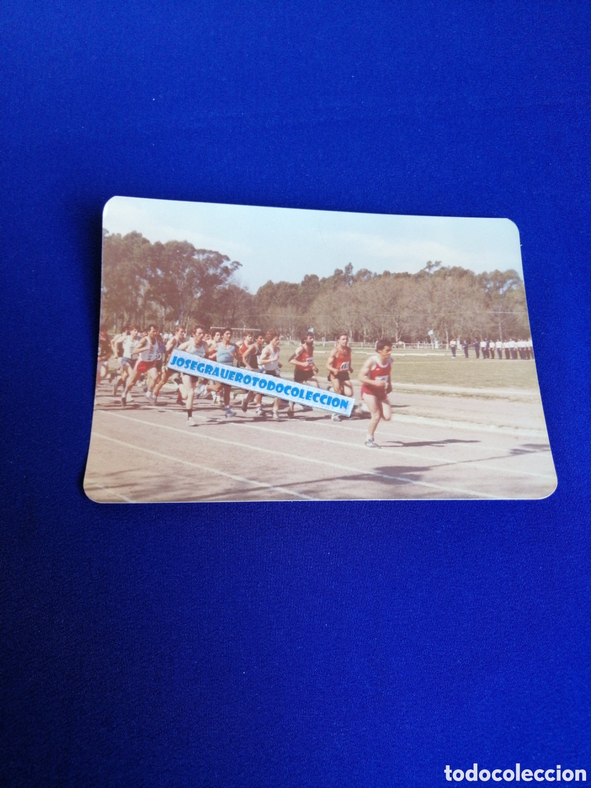 Fotograf&iacute;a antigua: IV GIMNASIA AMERICANA 1980 - GIMNASTICOS FOTOGRAF&Iacute;A ANTIGUA