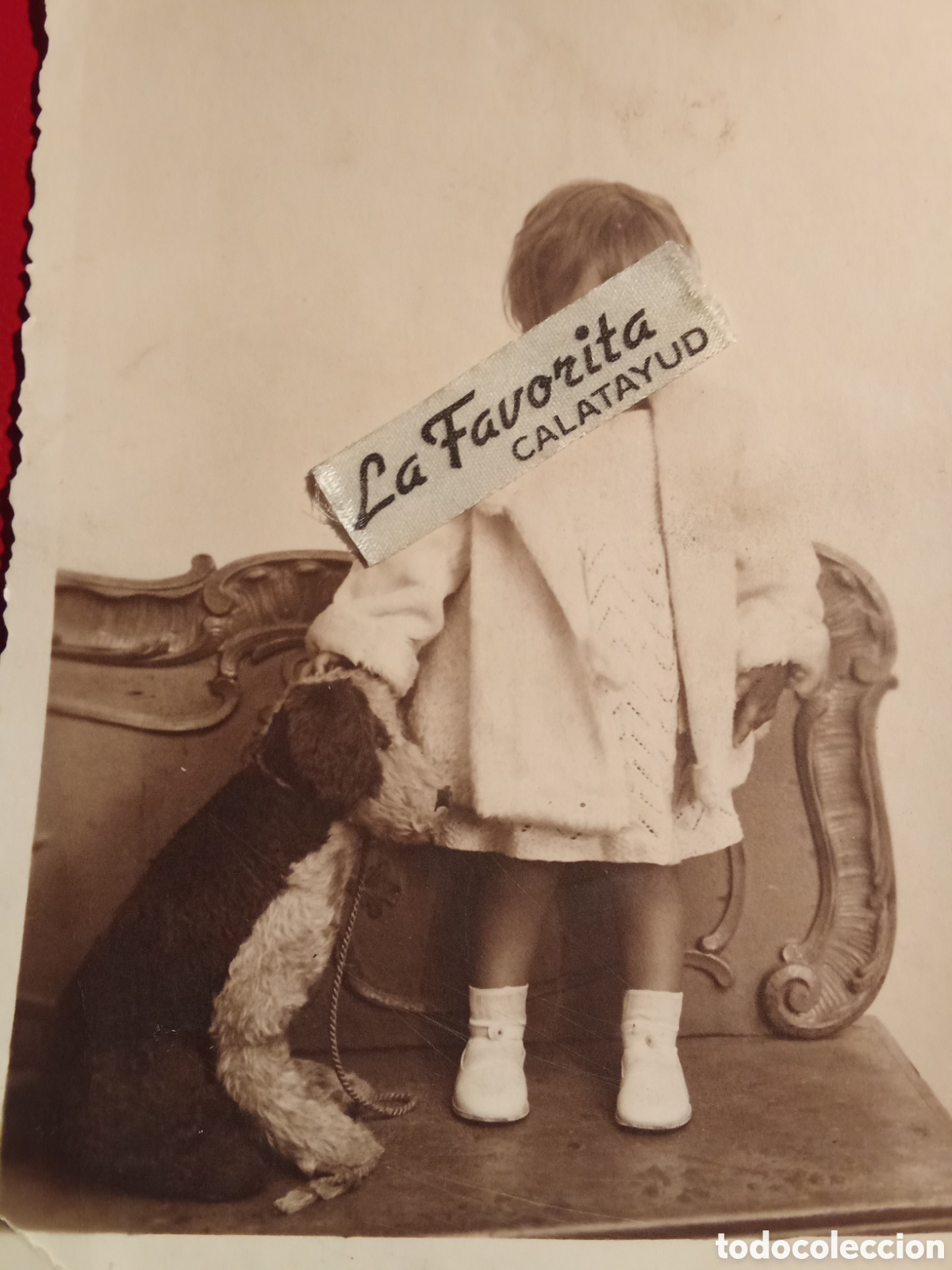 Fotograf&iacute;a antigua: Fotografia fotos GOYA C/ mercado esquina torrenueva Zaragoza , JMJ