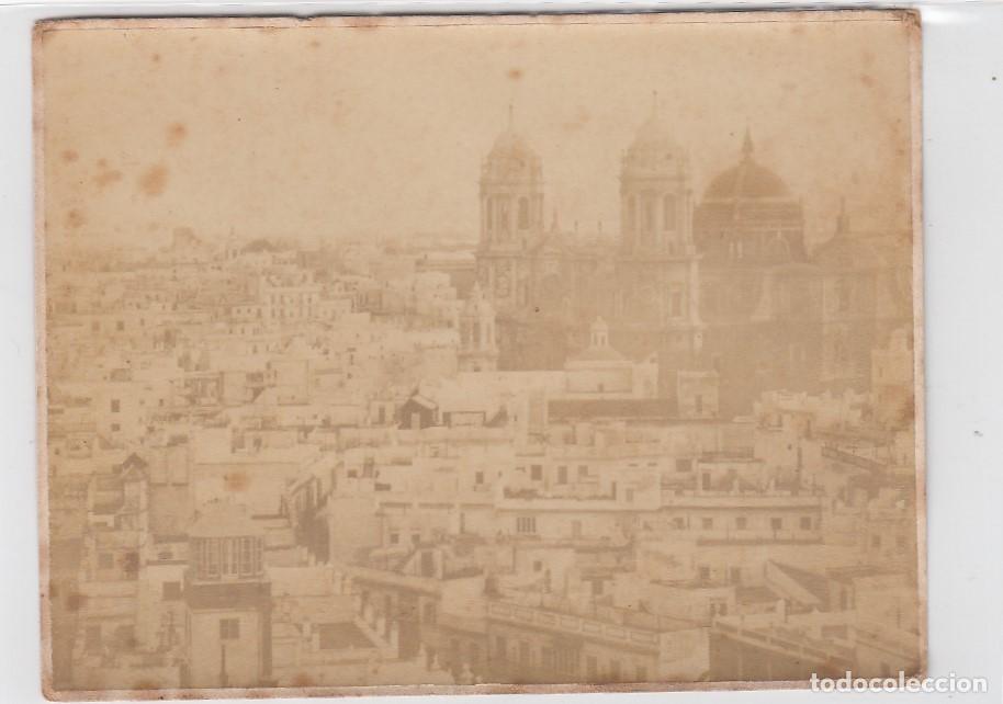 Fotograf&iacute;a antigua: C&aacute;diz. Fotograf&iacute;a antigua. Vista panor&aacute;mica, al fondo la Catedral. Tama&ntilde;o: 14 x 10 ctms.