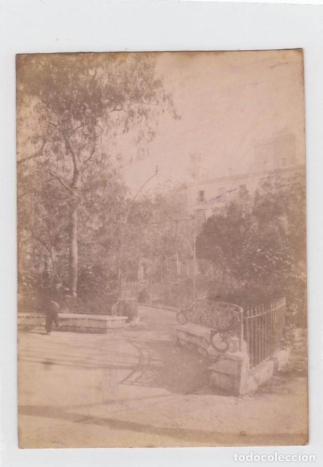 Fotograf&iacute;a antigua: C&aacute;diz. Fotograf&iacute;a antigua. La Alameda. Tama&ntilde;o: 13 x 9.5 ctms.
