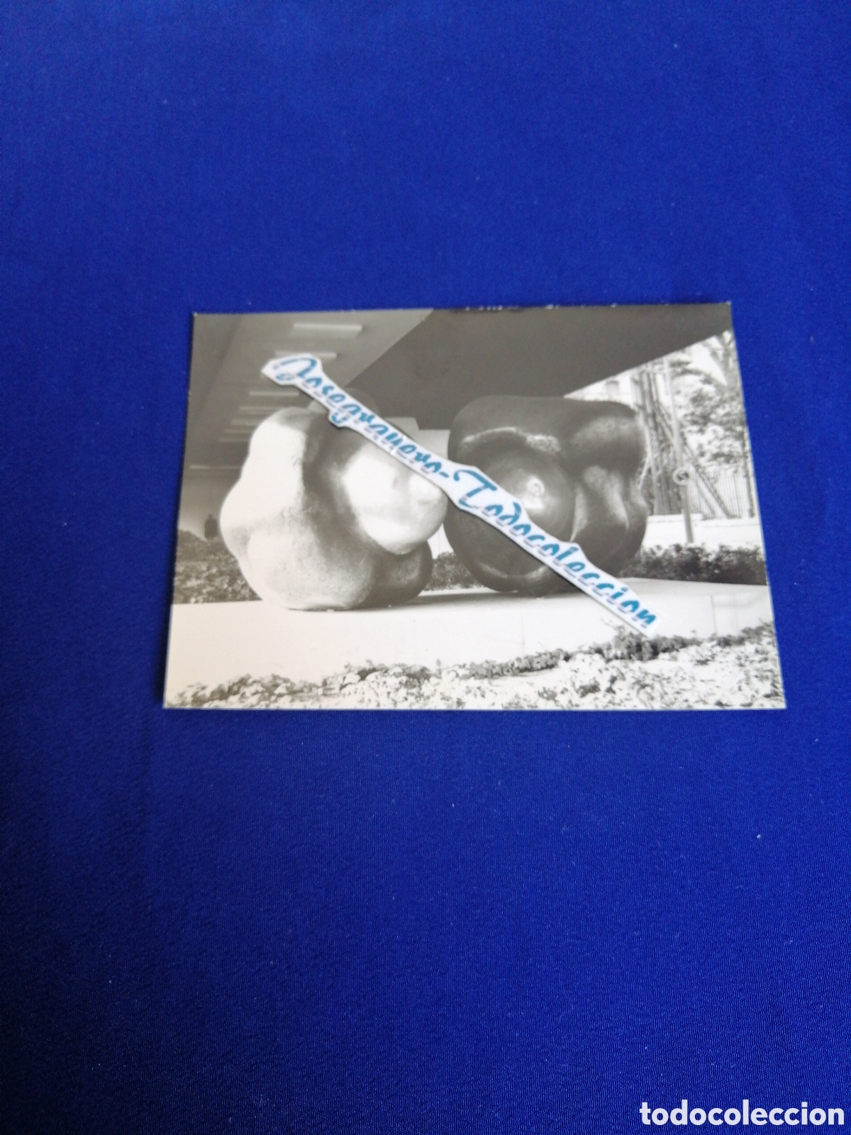 Fotograf&iacute;a antigua: MADRID - MUSEO AL AIRE 1972 - ARTISTA : PABLO SERRANO