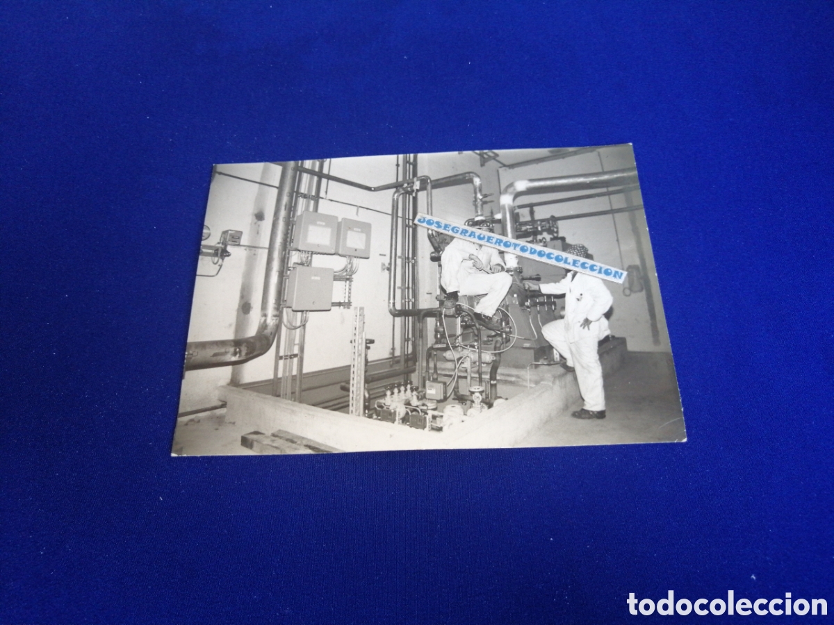 Fotograf&iacute;a antigua: TRABAJADORES EN F&Aacute;BRICA POSANDO - LUZERN (SUIZA) FOTOGRAF&Iacute;A ANTIGUA SIGLO PASADO