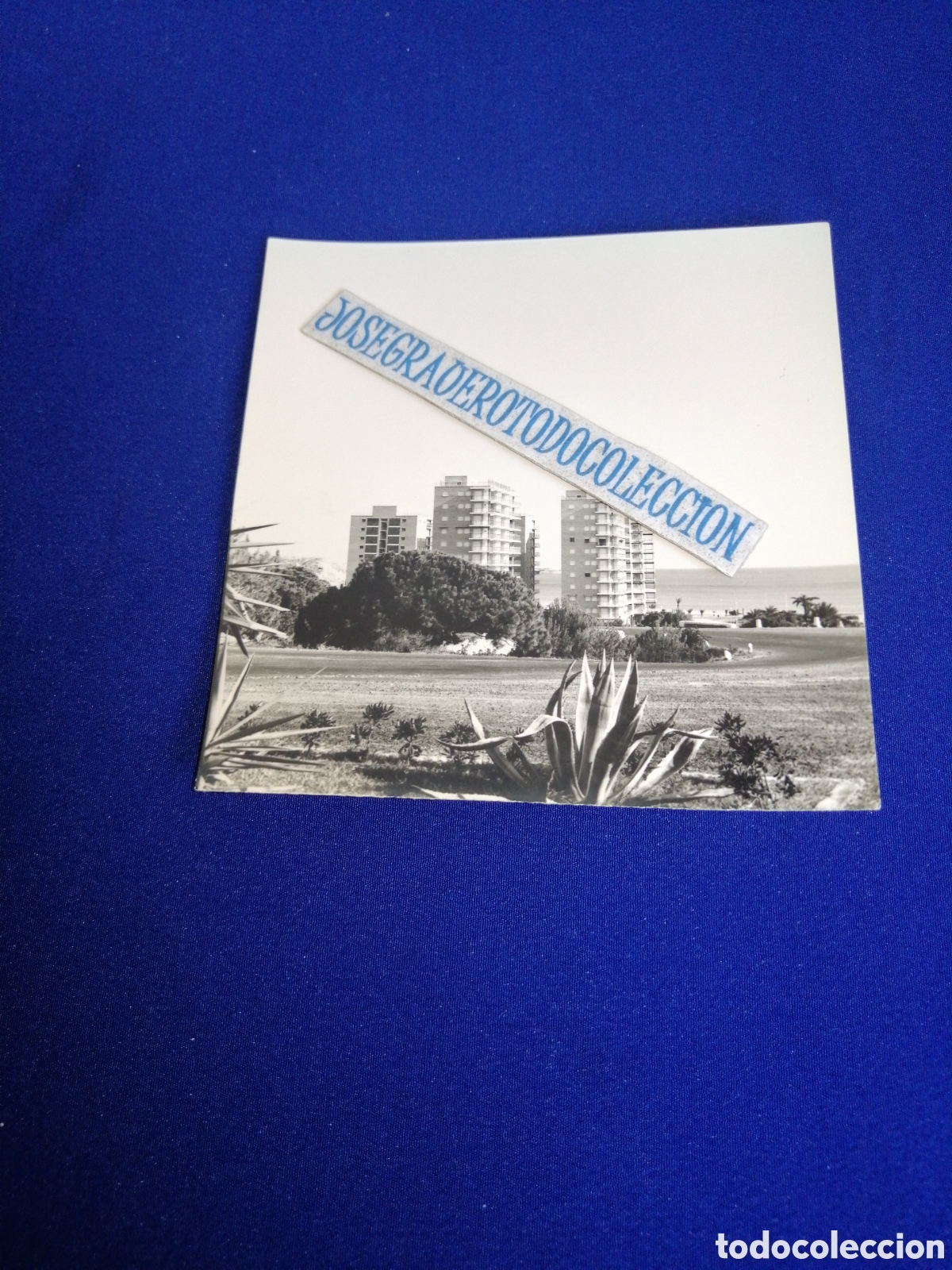 Fotograf&iacute;a antigua: CAMPOAMOR (ALICANTE) FOTOGRAF&Iacute;A ANTIGUA SIGLO PASADO