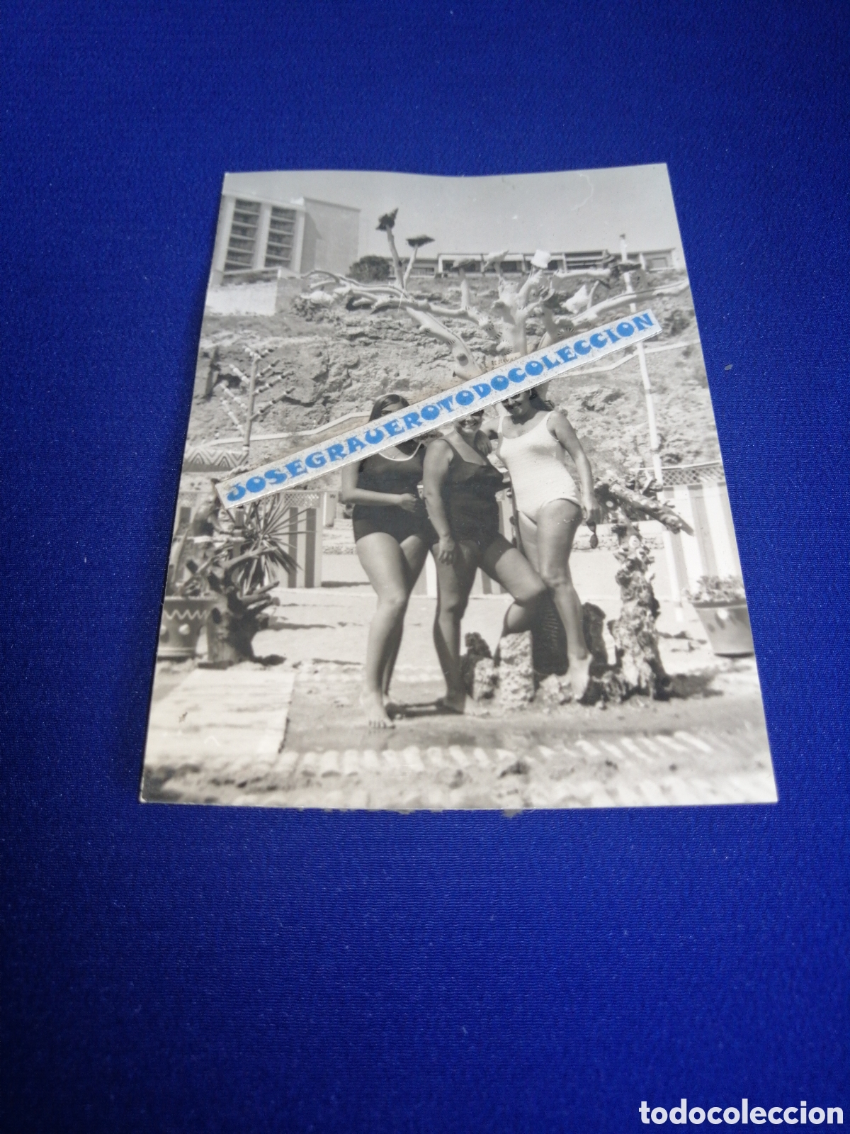 Fotograf&iacute;a antigua: PLAYA MODELOS EN BA&Ntilde;ADOR POSANDO FOTOGRAF&Iacute;A ANTIGUA SIGLO PASADO