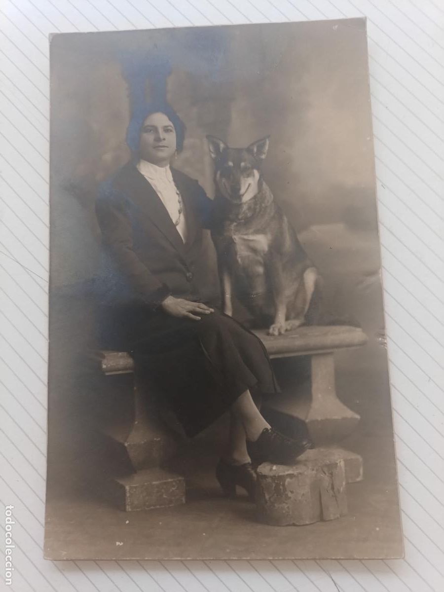 Fotograf&iacute;a antigua: Casa Saul, Alcira, Valencia. Foto en soporte r&iacute;gido. Formato tarjeta postal. Perro