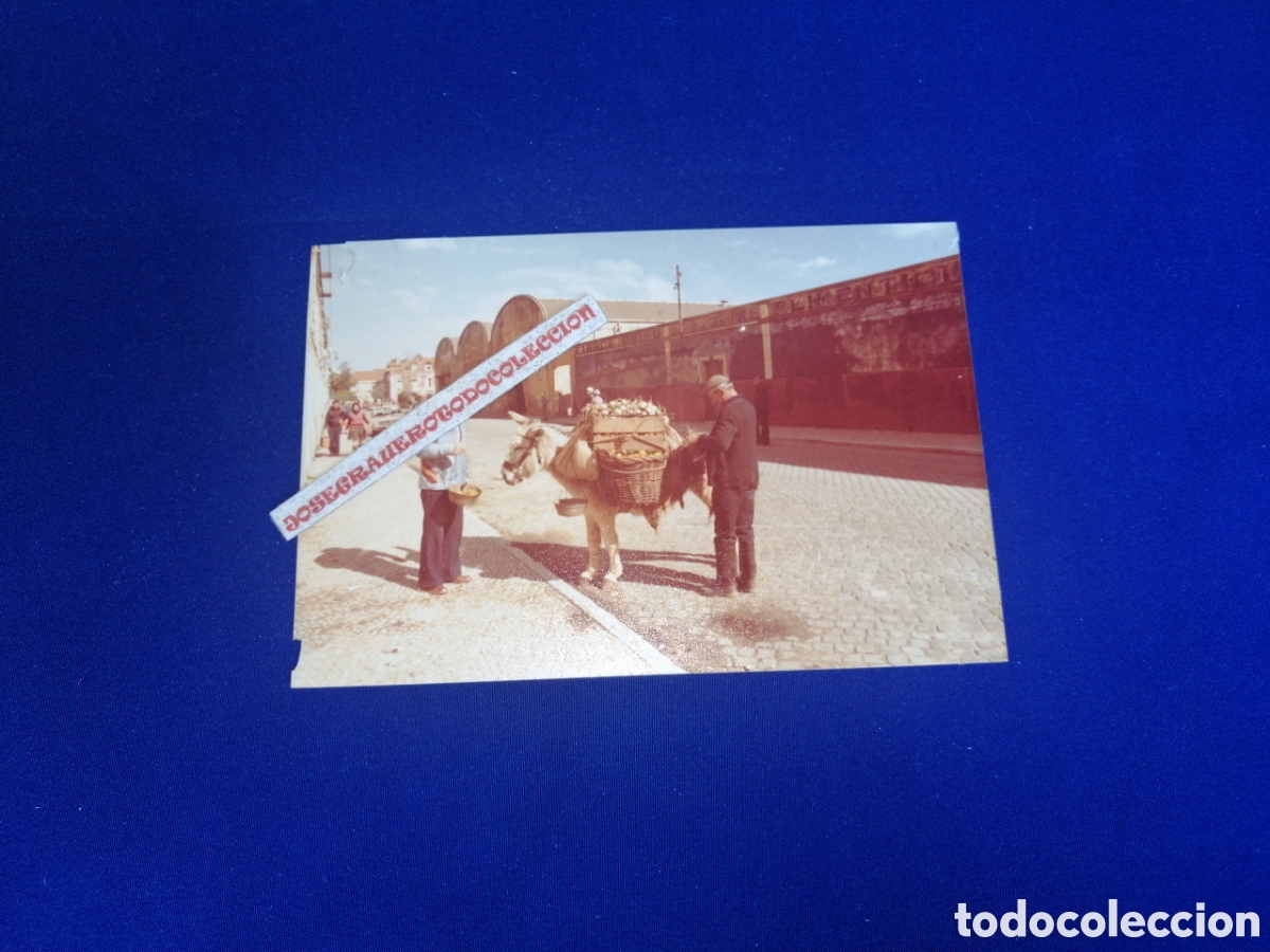 Fotograf&iacute;a antigua: ESTUBAL 1PORTUGSL A&Ntilde;O 1978 MODELOS POSANDO CON BURRO FOTOGRAF&Iacute;A ANTIGUA