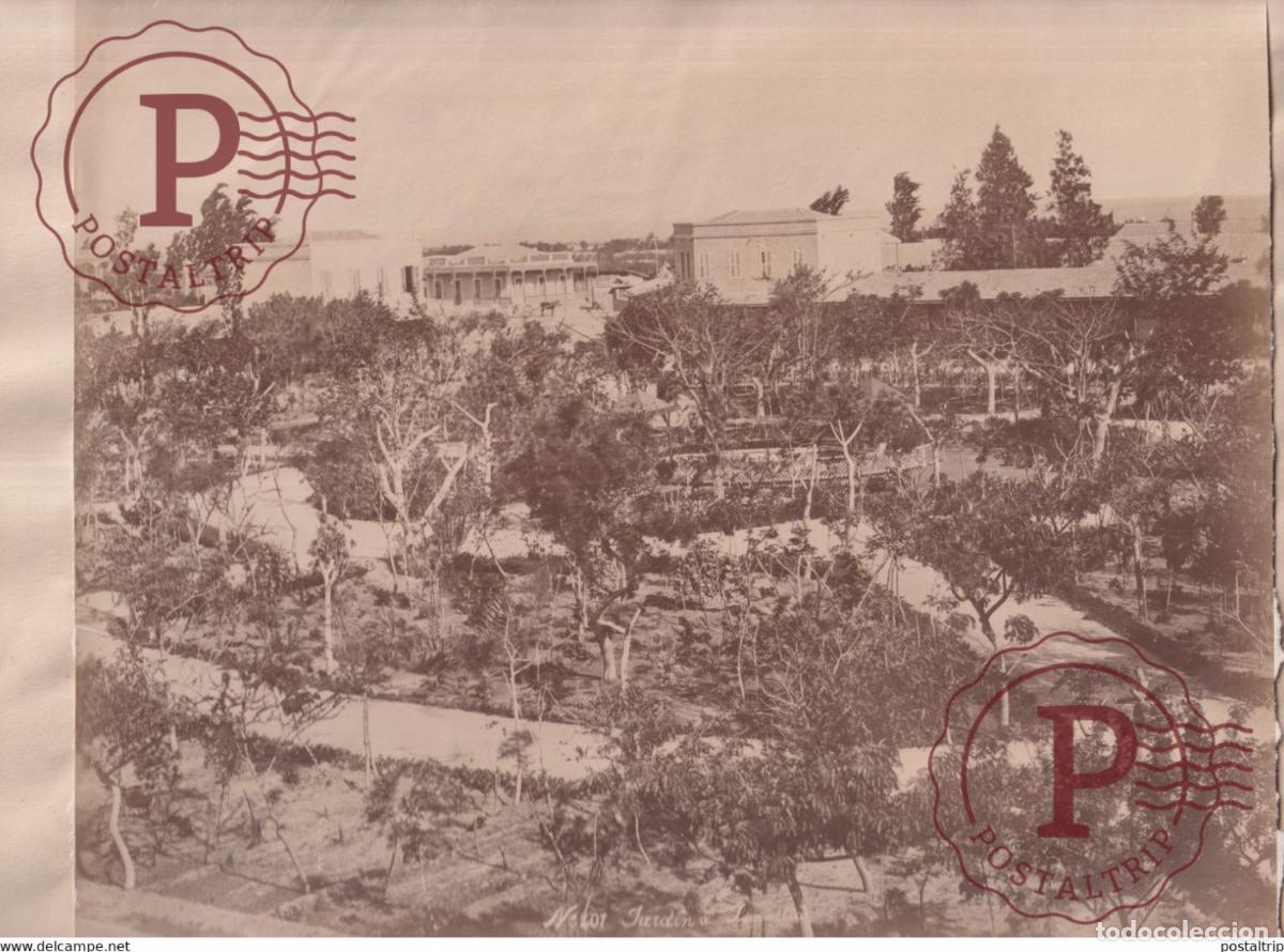Alte Fotografie: JARDIN A ISMAILIA EGYPTE EGIPTO EGYPT ALBUMEN PRINT 26 *21 CM Ancienne PHOTOGRAPHIE