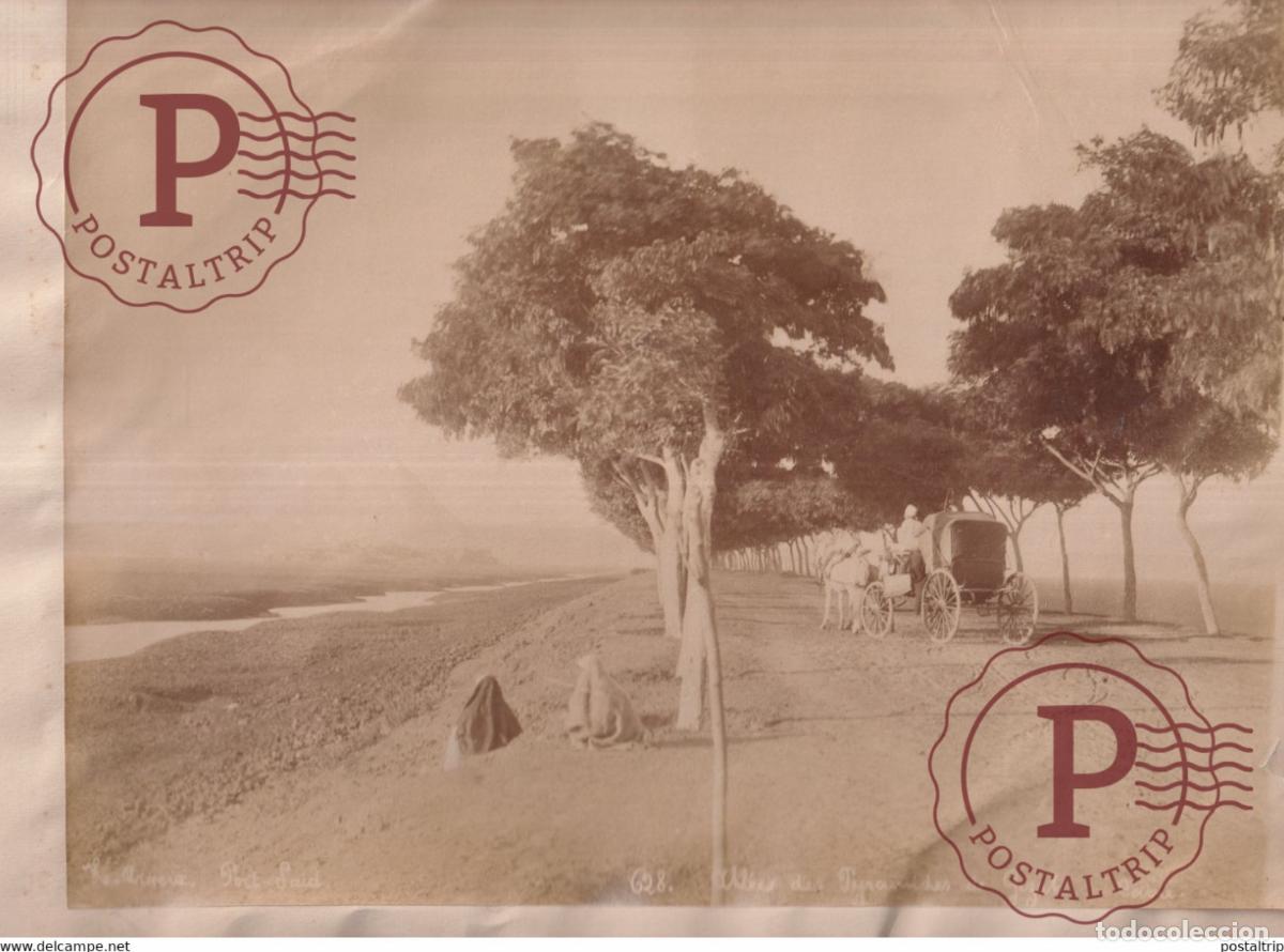 Alte Fotografie: Hippolyte ARNOUX ALLEES DES PYRAMIDES DE GIZEH EGYPTE EGIPTO EGYPT ALBUMEN PRINT 26 *21 CM Ancienne